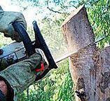 Best Soil Testing and Treatment  in Rural Hill, TN